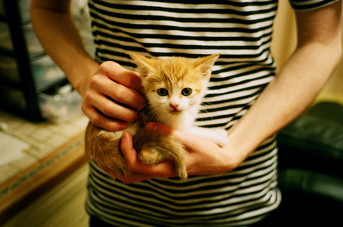 开云体育app注册-双前腰压迫第一线打破对手节奏，双前腰4222